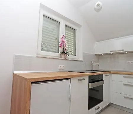 Apartment Ivo